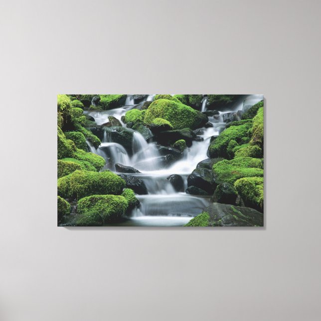 Lienzo WA, Parque Nacional Olympic, Valle de Sol Duc, arr (Anverso)