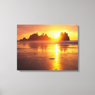 Lienzo WA, PN de Olympic, playa Shi Shi al atardecer, Pun