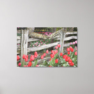 Lienzo WA, Valle de Skagit, Jardín de tulipanes Roozengaa