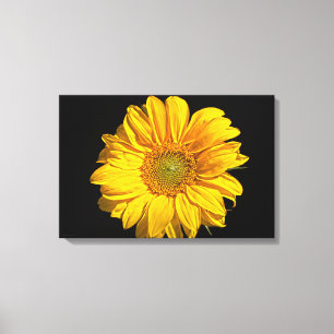 Lienzo Waccna de girasol 24x16 (60x40cm)