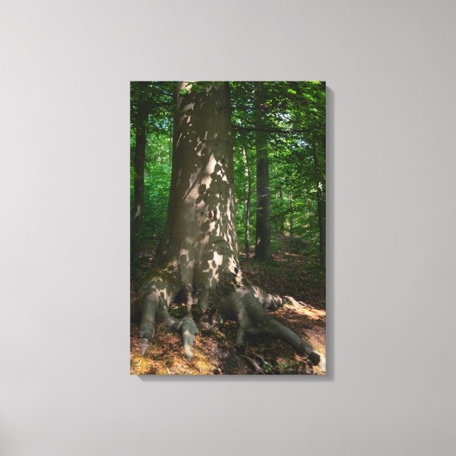 Lienzo Waldimpression (Anverso)