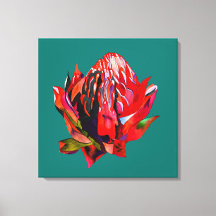 Lienzo Waratah Flor acuática australiana