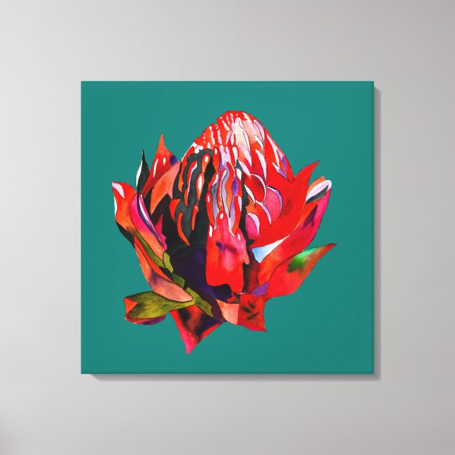 Lienzo Waratah Flor acuática australiana (Anverso)
