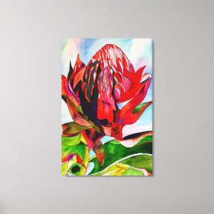 Lienzo Waratah Flor acuática australiana