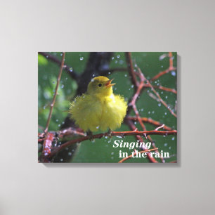 Lienzo Warbler