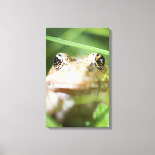 Lienzo Washington, Estados Unidos 2