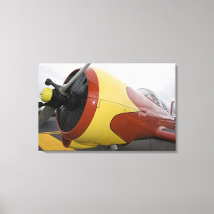 Lienzo Washington, Olympia, airshow. militar