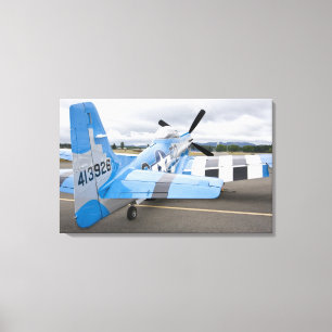 Lienzo Washington, Olympia, airshow militar. 3