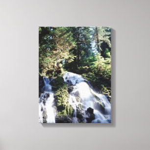 Lienzo Washington, Parque Nacional Olímpico, Una cascada