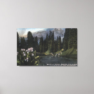 Lienzo Washington - Parque Nacional Rainier, Estado de lo