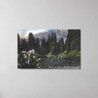 Lienzo Washington - Parque Nacional Rainier, Estado de lo