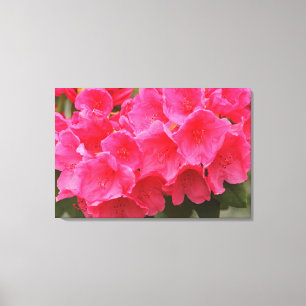 Lienzo Washington, Seattle, Puget Sound, Discovery Park