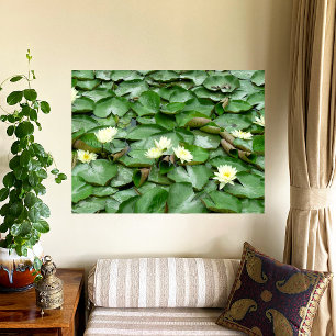 Lienzo Water Lillies