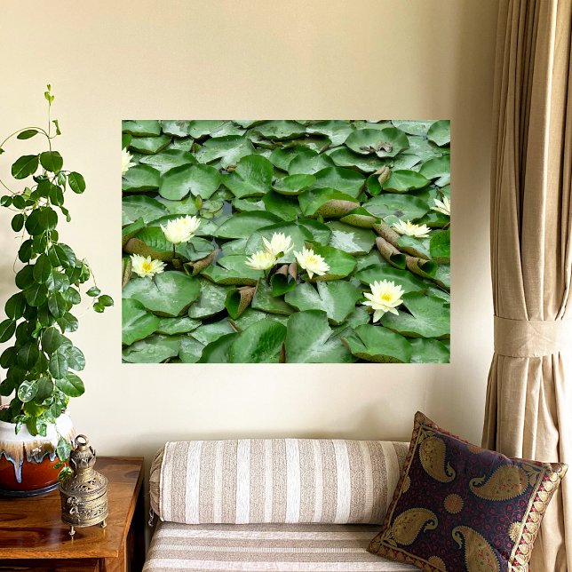 Lienzo Water Lillies (Subido por el creador)