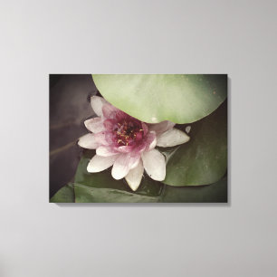 Lienzo Water Lilly, Lotus Photography Wall Art