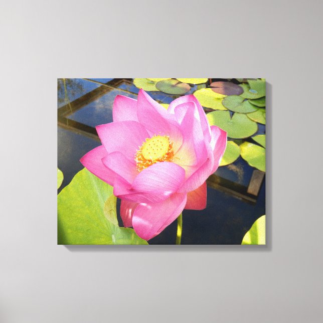 Lienzo Water Lily Canvas Print (Anverso)