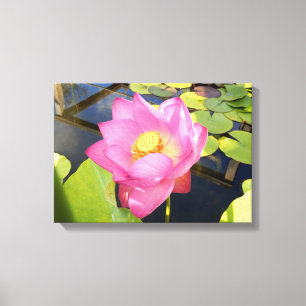 Lienzo Water Lily Canvas Print