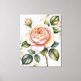 Lienzo Watercolor english rose