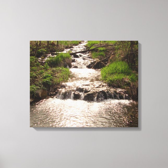 Lienzo Waterfall Nature Woods Fotograma Canvas Print MN (Anverso)