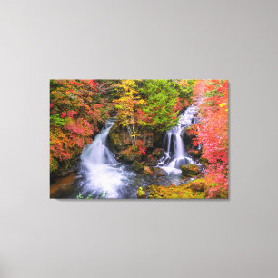 Lienzo Waterfalls   Faucet Waterfalls Nikko Japan Fall