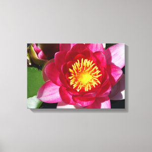 Lienzo WaterLily CloseUp