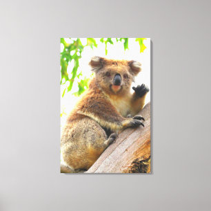 Lienzo WAVING KOALA 24x36