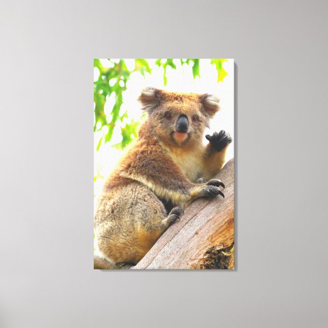 Lienzo WAVING KOALA 24x36 (Anverso)