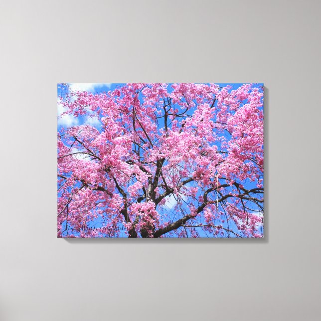Lienzo Weeping Cherry: Yaebenishidare [Canvas Print] (Anverso)