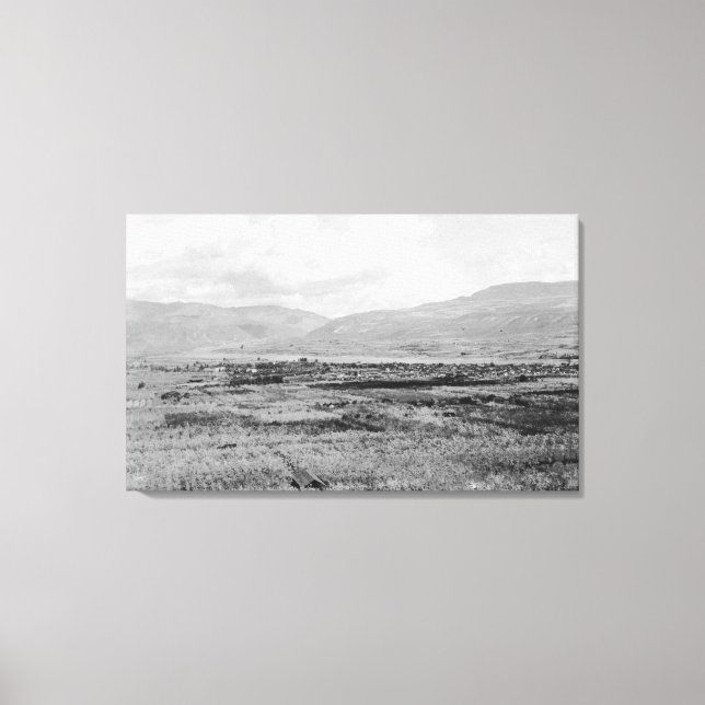 Lienzo Wenatchee, WA Town View y Orchard Photography (Anverso)