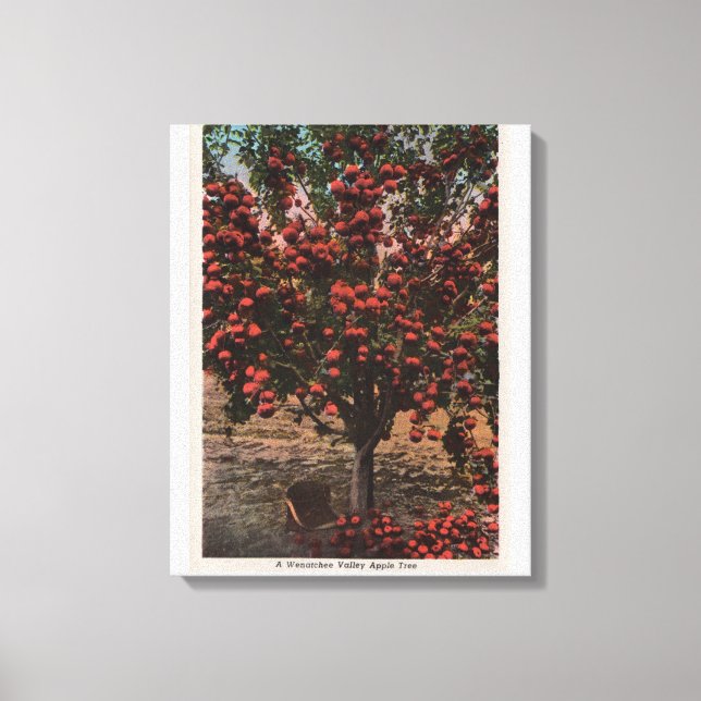 Lienzo Wenatchee, WAA Wenatchee Valley Apple Tree (Anverso)