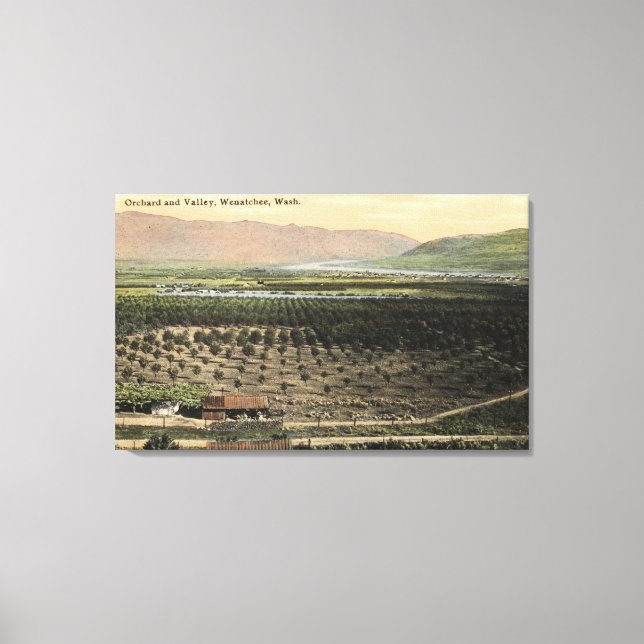 Lienzo Wenatchee, WashingtonAerial View of a Orchard (Anverso)
