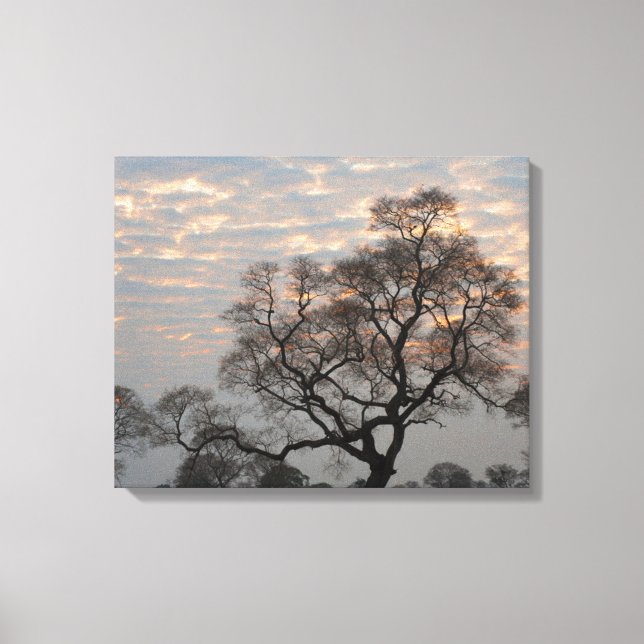 Lienzo Wetlands Pantanal | Sudamérica, Brasil (Anverso)