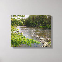 Lienzo What Nature Provides