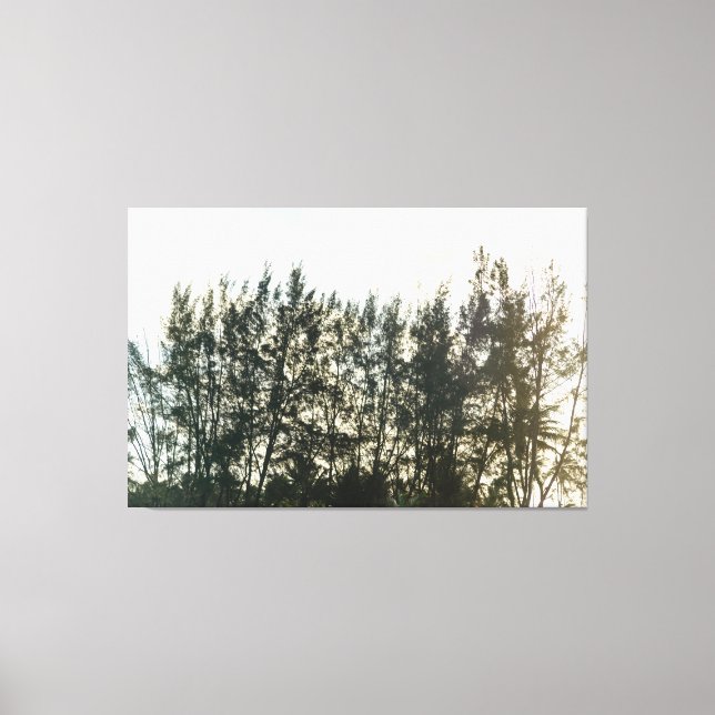 Lienzo Whispering Pines of Taquari (Anverso)