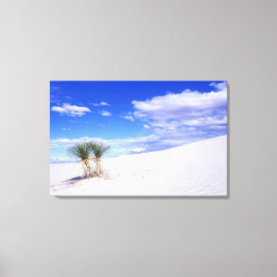 Lienzo White Sands NM, Nuevo México, Estados Unidos