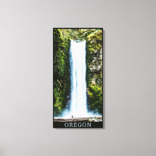 Lienzo Wiesendanger Falls Painting