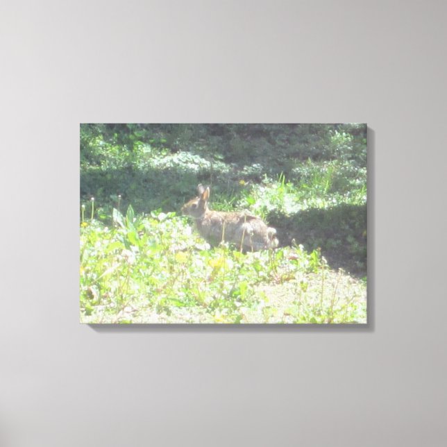Lienzo Wild Bunny Photo on Canvas (Anverso)