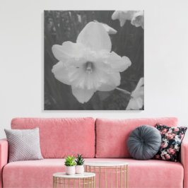 Lienzo Wild Daffodil