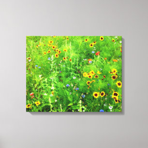LIENZO WILD FLOWERS