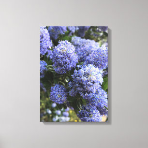 Lienzo Wild Lilacs