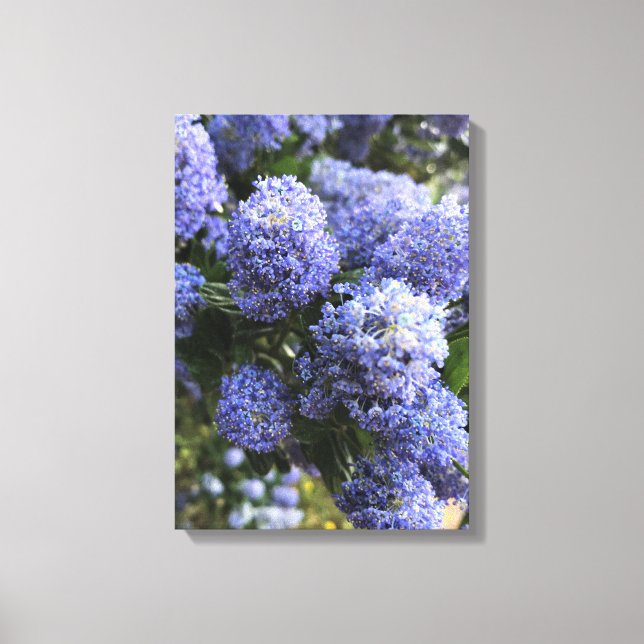 Lienzo Wild Lilacs (Anverso)