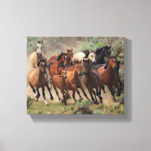 Lienzo Wild Mustangs