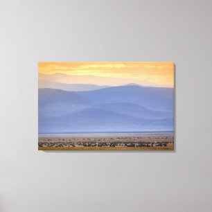 Lienzo Wildebeest durante la migración, Connochaetes