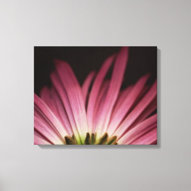 Lienzo Wiled Purple Daisy (Anverso)
