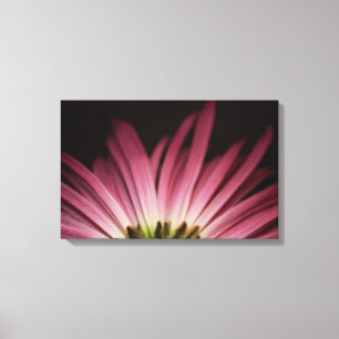 Lienzo Wiled Purple Daisy