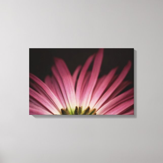 Lienzo Wiled Purple Daisy (Anverso)
