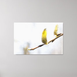 Lienzo Willow Catkins - Mundo Plateado