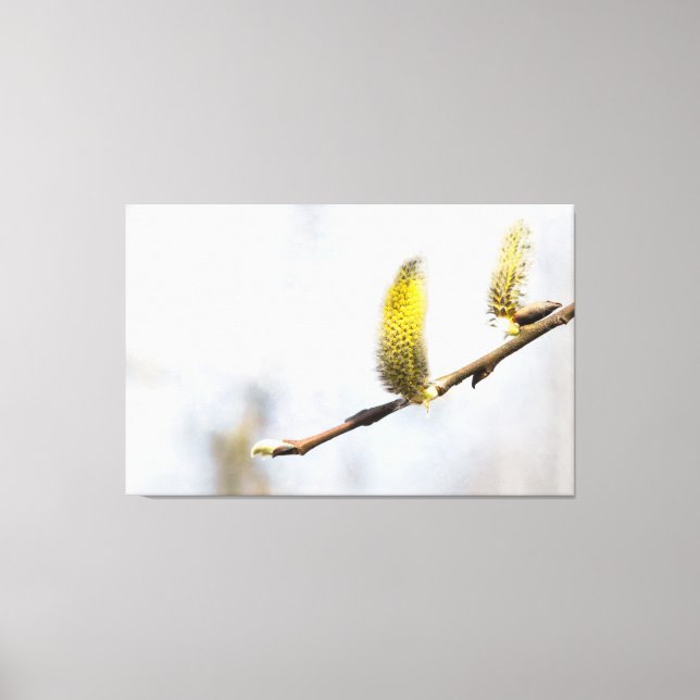 Lienzo Willow Catkins - Mundo Plateado (Anverso)