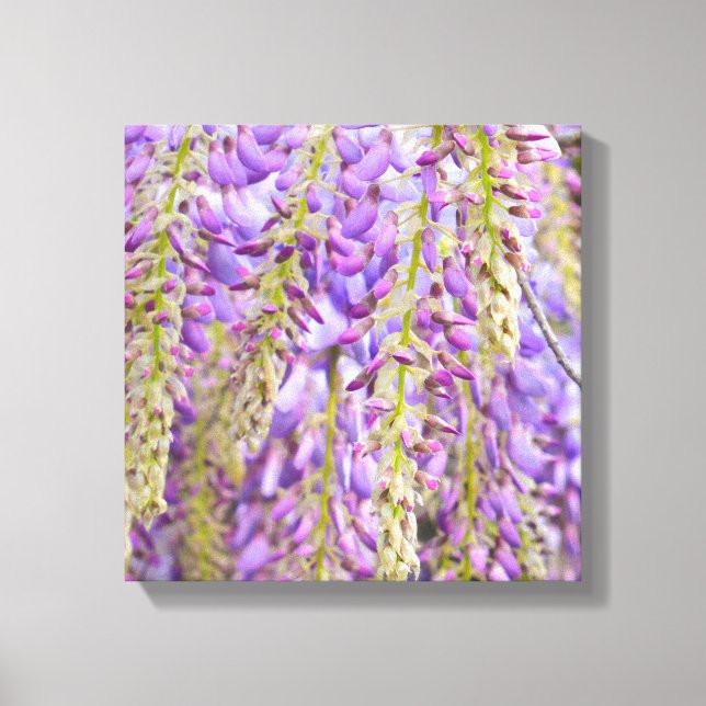 Lienzo Wisteria Violeta de árbol de flores moradas (Anverso)