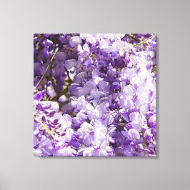 Lienzo Wisteria Violeta de árbol de flores moradas